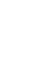 Inskin